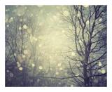 A Winters Tale