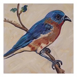 Bird XII