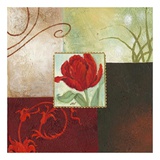 Tulip Square III