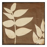 Perfect Harmony  no 11