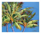Three Crazy Palms