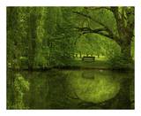 Another Green World