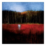 Transition In Red