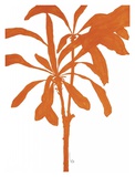 Silhouette of Palm III