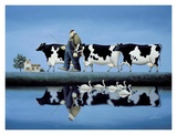 Delta Cows