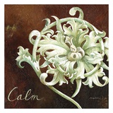 Calm