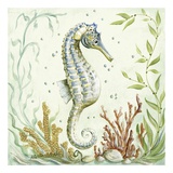 Pacific Seahorse
