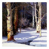 Beautiful Winter