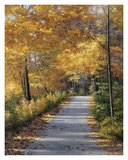 Late Fall