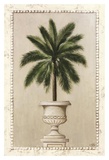 Palm Appeal I
