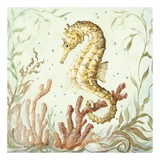 Atlantic Seahorse