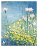 Water Garden