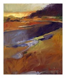 New Mexico XIII