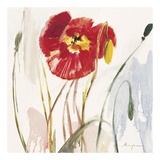 Crimson Poppy III