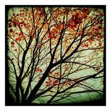 Autumn's Alchemy