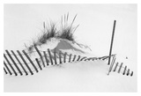 Snowfence