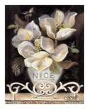 Magnolias of Nice