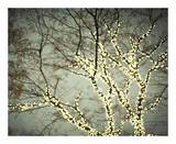 Everything is Illuminated