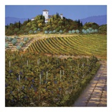 Vines