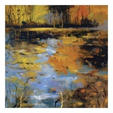 New Reflection
