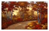 Golden Birch