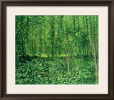 Woods and Undergrowth  c1887