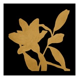 Fiora Giallo