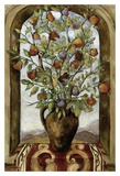 Bouquet of Figs  Pears And Pomegranates