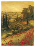 Toscano Valley II