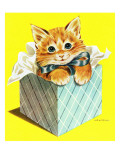 Kitten - Jack and Jill  August 1957
