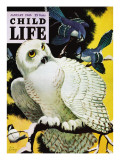 White Owl - Child Life  January 1946