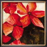 Red Passion II
