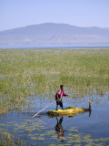 Ethiopia  Lake Awassa; a Young Boy Punts a Traditional Reed Tankwa Through the Reeds