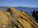 England  Devon  Wembury  Mew Stone Island;  the Mew Stone Island Off the Devon Coast Near Wembury