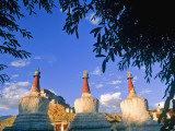 Stupas at the Entrance to Thikse Monastery  Ladakh  North West India