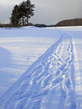 Winter Landscape  Suda  Vologda Region  Russia