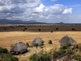 Savanna  Kidepo National Park  Uganda  East Africa