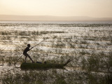 Ethiopia  Lake Awassa; a Young Boy Punts a Traditional Reed Tankwa Through the Reeds