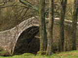 Ivelet Bridge  a Traditional Packhorse Bridge  Swaledale  Yorkshire Dales National Park  England