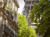 Eiffel Tower  Paris  France
