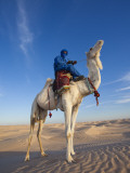 Tunisia  Sahara Desert  Douz  Great Dune  Rider and Camel