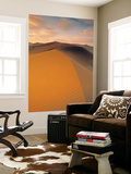 Sand Dune in Desert  Namib Desert  Namibia