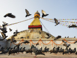 Asia  Nepal  Kathmandu  Kathmandu Valley  Boudhanath  Boudha Stupa  (Chorten Chempo)  Pigeons