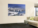 Yachts in Harbour  Puerto Banus  Marbella  Andalucia  Spain