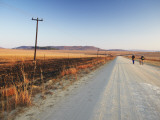 Men Walking on Dirt Road at Dawn  Winterton  Kwazulu-Natal  South Africa