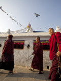 Nepal; Kathmandu  Boudinath Stupa