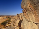 Libya  Fezzan  Messak Settafet