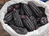 Peru; Black Maize Cobs  or Corn  for Sale at Pisac Market During the Weekly Sunday Market