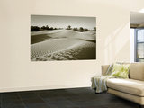 Sahara Desert  Douz Tunisia