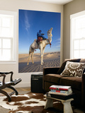 Tunisia  Sahara Desert  Douz  Great Dune  Rider and Camel